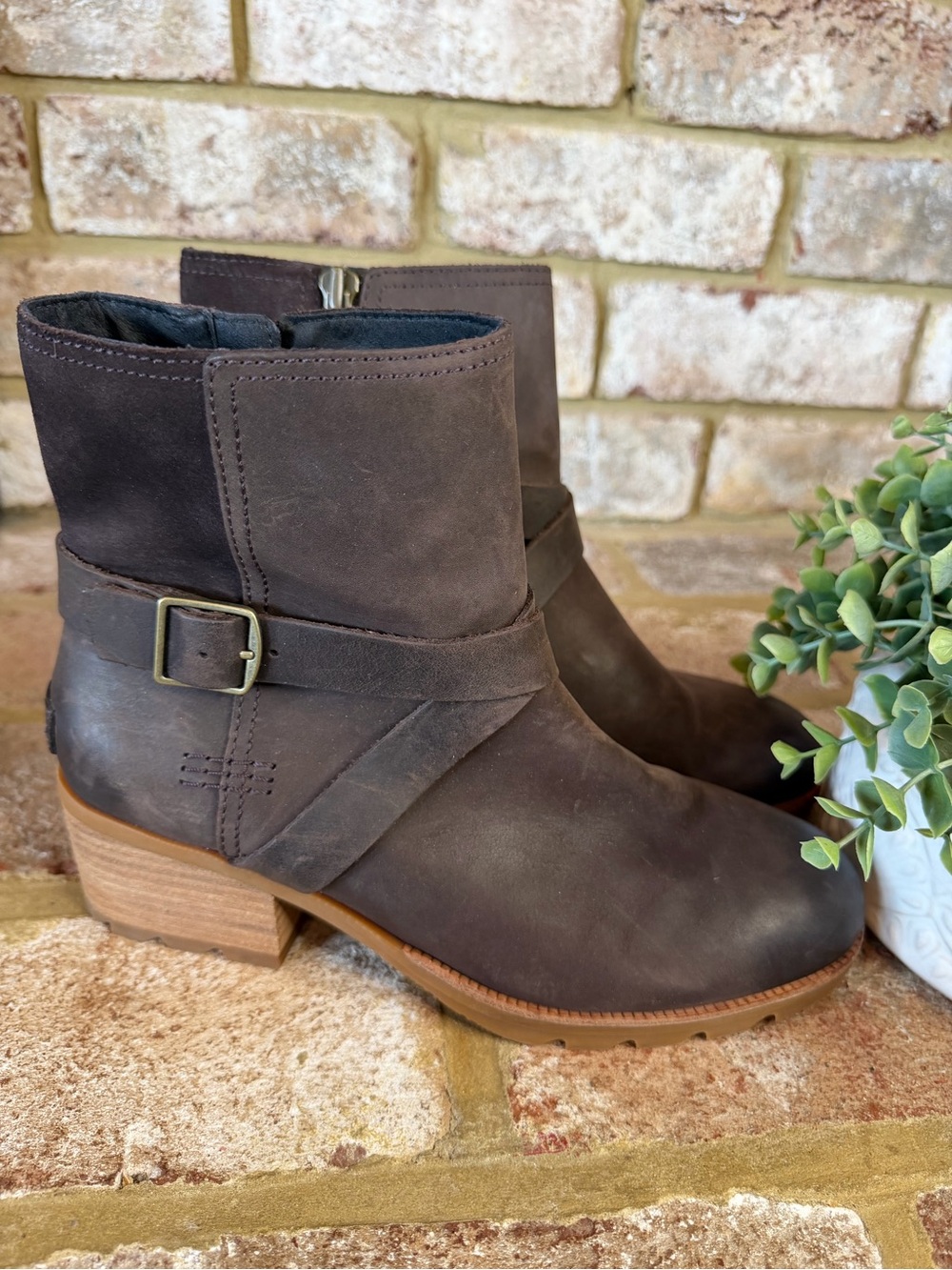 Sorel | Dark Brown Leather Ankle Booties with Buckle Strap | 8